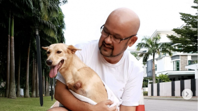 Photo of Harith Iskander Luah Rasa Sedih Atas Kehilangan Anjing Berkaki Dua Yang Dipeliharanya