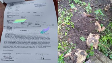 Photo of Pokok Keladi Kena Curi, Wanita Buat Laporan Polis… Cap Jari Sudah Diambil Untuk Siasatan Lanjut