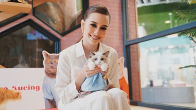 Photo of DD Cat & Anna Jobling Jalinkan Kolaborasi, Perkenalkan Koleksi ‘Baju Raya Kucing DD Cat’